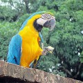 Francouzská Guyana fotogalerie