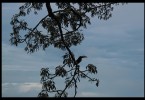 img_0311