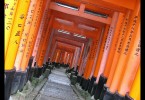 Fushimi Inari