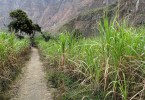 Santo Antao