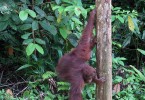 img_1191
