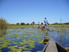 botswana1_small