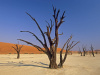 namibia2_small