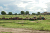 southsudan1_small