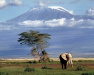 tanzania1_small