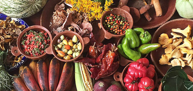 Zažít večer v restauraci Noma Mexico