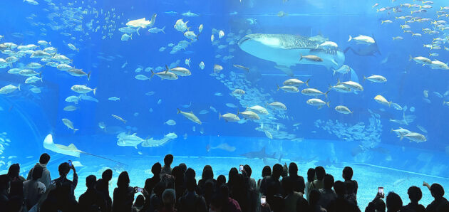 Hong Kong a japonská tropická Okinawa